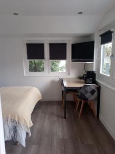 a bedroom with a bed and a desk and two windows at Chalet climatisé et chauffé a Faverges de la Tour in Faverges-de-la-Tour