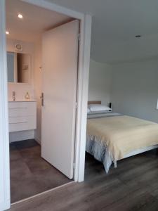 a bedroom with a bed and a white closet at Chalet climatisé et chauffé a Faverges de la Tour in Faverges-de-la-Tour