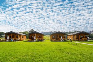 a group of cottages in a field under a cloudy sky at Domki u Iwony in Kudowa-Zdrój