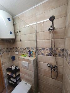 a bathroom with a shower and a toilet in it at Pan Koran Vikendica Pale, Jahorina in Pale