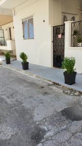 a house with two potted plants in front of a door at Larry's little place in the center of Gytheio in Gythio
