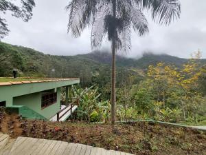a palm tree in front of a house with a mountain at Lumiar Eco Lodge - Chalé Telhado Verde in Nova Friburgo