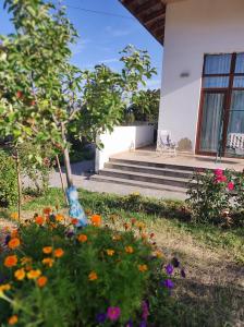 a garden with flowers in front of a house at ILIANNO in Tabakhmela