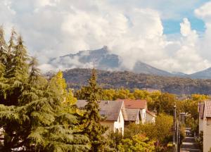 een berg in de verte met bomen en huizen bij Kazanad-Appartement lumineux et spacieux-Chambéry in Chambéry