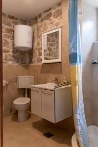 ein Bad mit einem WC, einem Waschbecken und einer Dusche in der Unterkunft House Antica in Lastovo