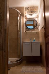 ein Bad mit einer Dusche, einem Waschbecken und einem Spiegel in der Unterkunft House Antica in Lastovo