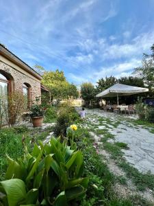 a garden with a person walking in the yard at Guest House Lali in Sighnaghi