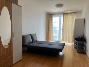 sala de estar con sofá negro y ventana en Apartment Hurka - 15 min do centra, garaz en Praga