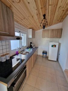 a kitchen with a sink and a refrigerator at Aprosmeno Jacuzzi House 4 in Agros