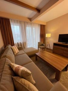 un soggiorno con divano e TV di Apartman Vučko B328 a Jahorina