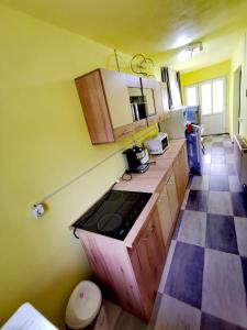 eine Küche mit einem Kochfeld im Zimmer in der Unterkunft Casa Rusu in Mălăeşti
