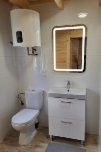 a bathroom with a toilet and a sink and a mirror at Leśna Zagroda - Dominikowo - Tężnia, sauna, balia in Dominikowo