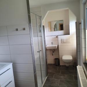 bagno con servizi igienici e lavandino di Ferienhaus Willkommen a Bad Schandau