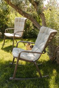 dos sillas sentadas en la hierba bajo un árbol en Masseria Ella en Pulsano
