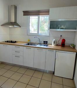 Kuchyň nebo kuchyňský kout v ubytování Electra Villa & Pool Studios