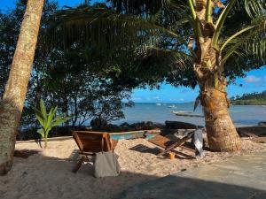 a beach with a chair and a palm tree and the ocean at Pousada Moreré in Ilha de Boipeba +81 photos