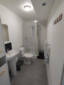 y baño con lavabo, aseo y ducha. en Studio meublé équipé avec terrasse privative, en Thionville