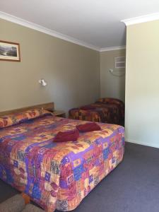a bedroom with two beds in a room at Wagon Wheel Motel & Units in Coonabarabran