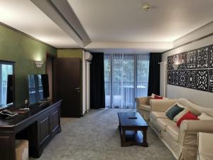 sala de estar con sofá y TV en Apartament 508-Aparthotel Alpin Poiana Brasov- acces la piscină gratuit, en Poiana Brasov