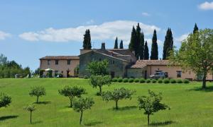 a house in a field with trees in the foreground at Agriturismo Monterosello in Città di Castello