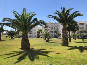 2 palmiers dans un parc en face d'un bâtiment dans l'établissement Casa Siska, à Torre-Pacheco