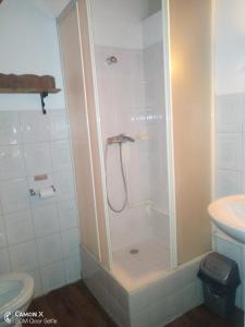 a shower in a bathroom with a toilet and a sink at Le Manoir in Antananarivo