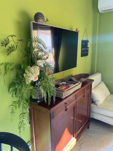 アルムニェーカルにあるApartamento con vistas en Marioteの植物の入ったドレッサー付きの部屋