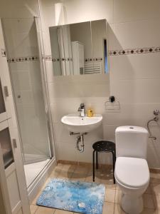 een badkamer met een toilet, een wastafel en een douche bij Apartment Betzenberg, nur Netflix in Kaiserslautern