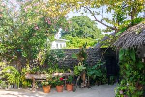 A garden outside Quicksand Rasdhoo
