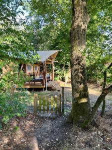 Příroda nedaleko luxury tent