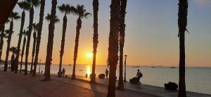 Naturlandskabet i nærheden af lejligheden + 15 billeder