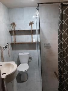 ein Badezimmer mit Toilette, Waschbecken und Dusche in der Unterkunft Poza Czasem in Bystrzyca Kłodzka