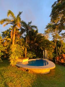 a swimming pool in a yard with palm trees at Stunnig Ocean View in Montezuma