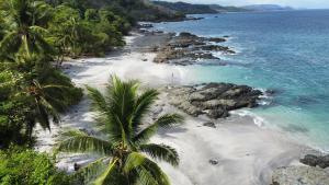 an aerial view of a beach with palm trees at Stunnig Ocean View in Montezuma