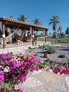 einen Garten mit lila Blumen und einem Pavillon in der Unterkunft POUSADA CHALÉ PARAÍSO - Icapui in Icapuí