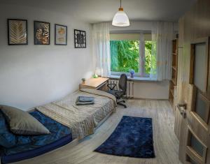 1 dormitorio con cama y ventana en Komfortowy Apartament Seven niedaleko centrum, en Olsztyn