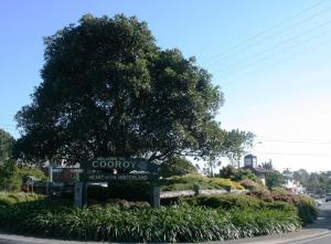 a sign in front of a tree on a street at Cooroy Luxury Motel Apartments in Cooroy