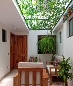 Zahrada ubytování Famy Hostal Nardo's + 26 fotografií