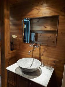 a bathroom with a stone sink and a mirror at Appartement vouté en Gruyère dans l'Intyamon in Enney