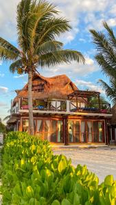 斯島的住宿－Casa Luz Beach Front Holbox，棕榈树和建筑的度假村