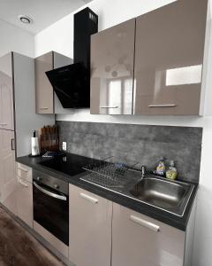 a kitchen with a sink and a stove top oven at Epernay, appartement champagne et art déco in Épernay