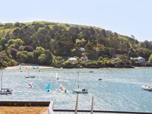 a group of boats in a body of water at Wigwam in Salcombe
