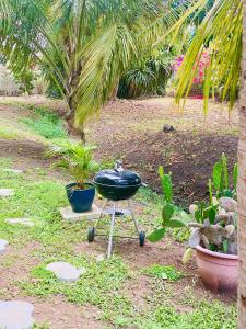 Giardino di Villa Gaïa - Bungalow Ti-Spa et son jacuzzi privé dans un jardin tropical, séjour en amoureux ou en famille