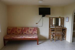Televiisor ja/või meelelahutuskeskus majutusasutuses Hotel Carrizal Spa