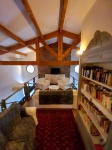 uma sala de estar com um sofá e uma estante de livros em Escale au Salagou em Le Bosc