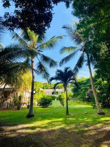 Giardino di Villa Gaïa - Bungalow Ti-Spa et son jacuzzi privé dans un jardin tropical, séjour en amoureux ou en famille