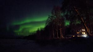 an aurora in the sky over a house at night at Susitna River Lodging, Backwoods Cabins in Talkeetna