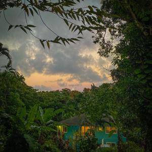 une maison au milieu d'une forêt au coucher du soleil dans l'établissement Heavenly Hana Paradise, à Hana