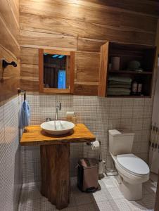 a bathroom with a sink and a toilet at Casita Bribri at Margarita Hills in Cocles