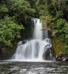 a waterfall in the middle of a river at Blackfern Lodge in Waimiha